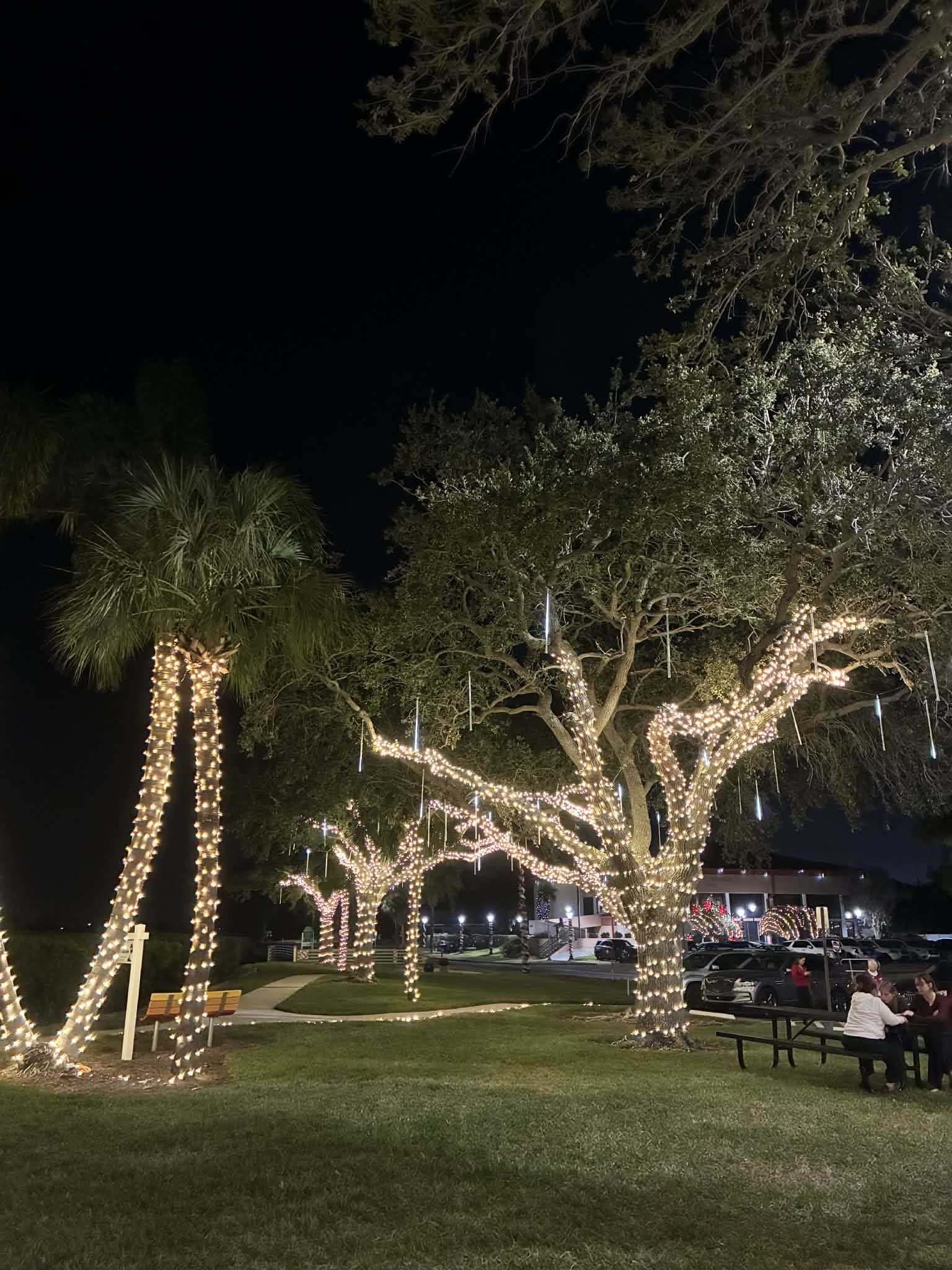 Bay View Park Tree Lighting